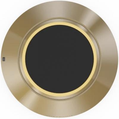 Bang & Olufsen BeoSound 1 Brass Tone