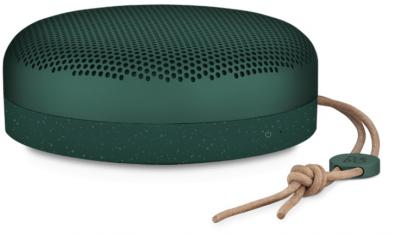 Bang & Olufsen BeoPlay A1 Pine