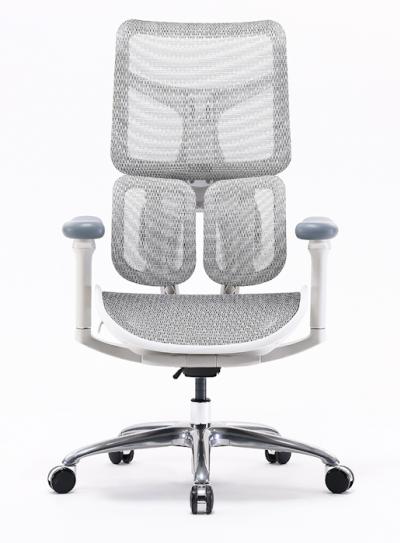 Spinergo Dual  biela