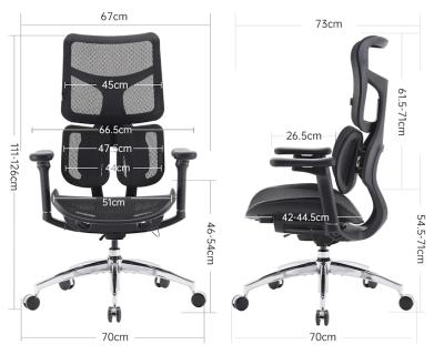 Spinergo Dual  biela