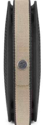 Bang & Olufsen BeoPlay A2 Active Stone Grey